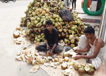 In Thakurgaon, the sale of talshans has increased due to the intensity of heat