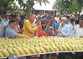 20 envoys in Dhaka visit safe mango production in Chapainawabganj