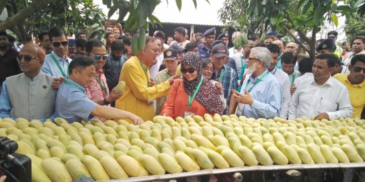 20 envoys in Dhaka visit safe mango production in Chapainawabganj