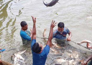 50 more fish sanctuaries established in Rajshahi division
