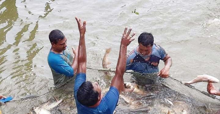 50 more fish sanctuaries established in Rajshahi division