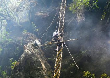 Sticky future: climate change hits Nepal’s honey hunters