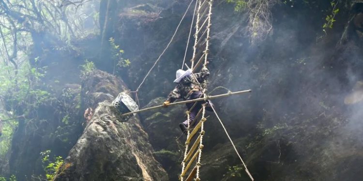Sticky future: climate change hits Nepal’s honey hunters