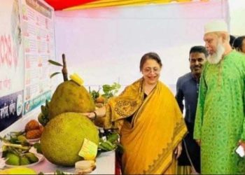 Three-day fruit fair begins in Gazipur