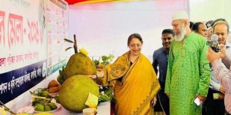 Three-day fruit fair begins in Gazipur