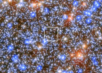 Astronomers find nearest massive black hole – study