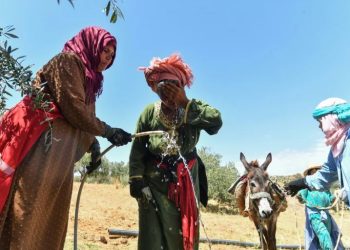 A Tunisian village’s fight for running water