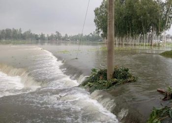 Gaibandha flood situation deteriorates as Brahmaputra marks rise further