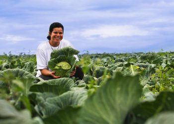 Progress in fighting global hunger should be especially celebrated by women