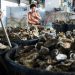Waste into gold: Oyster shells repurposed as magic ‘Seawool’