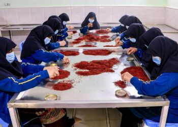 Three years after Taliban return, economic woes loom large