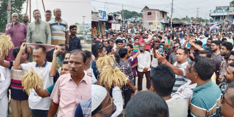 BNP rally held in Mirpur, Kushtia