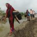 Coastal women at health risk due to climate change