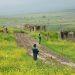 Armenia and Azerbaijan see progress, but peace treaty seems distant