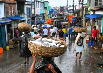 Fishy business caught by fraying India-Bangladesh ties