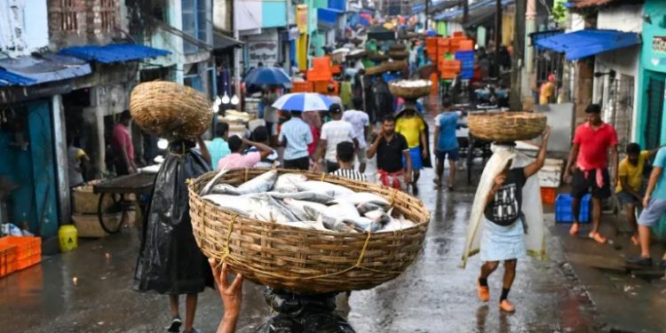 Fishy business caught by fraying India-Bangladesh ties