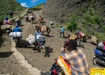 Haiti, its suffering growing, in ‘race against time’: UN expert