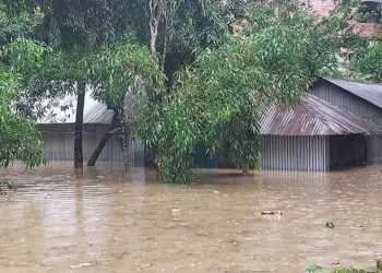 Low-lying areas of Ctg, Feni, Cumilla and 5 other districts likely to be inundated: FFWC