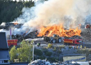 'Queen of Trash' in dock in Sweden's biggest toxic waste scandal