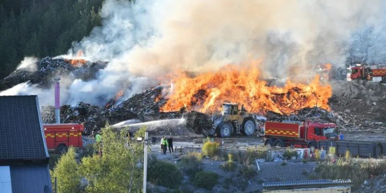 'Queen of Trash' in dock in Sweden's biggest toxic waste scandal