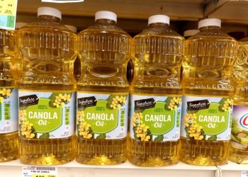 China to launch anti-dumping probes into Canadian canola, chemicals