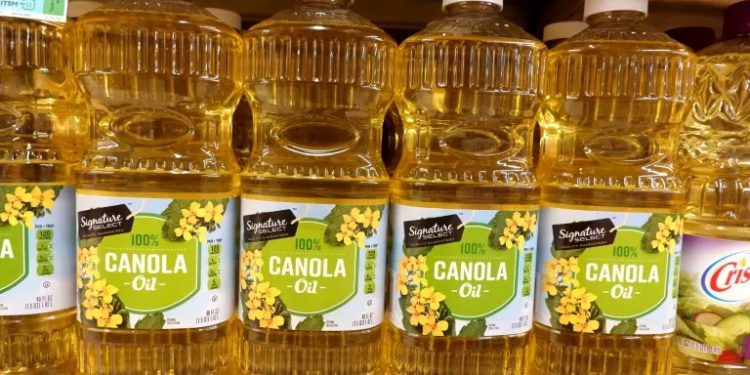 China to launch anti-dumping probes into Canadian canola, chemicals