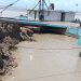 River erosion halts ferry movement at Daulatdia terminal