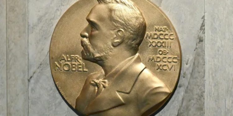 2024 Nobels offer glimmer of hope as global crises mount