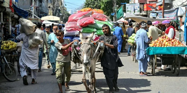 Modern pressures burden Pakistan’s donkey business