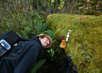 Fungi finding: mushroom hunters seek new species and recognition