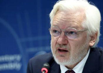 ‘I pleaded guilty to journalism,’ Wikileaks’ Assange