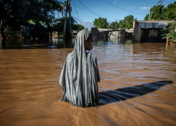 COP29 fight looms over climate funds for developing world