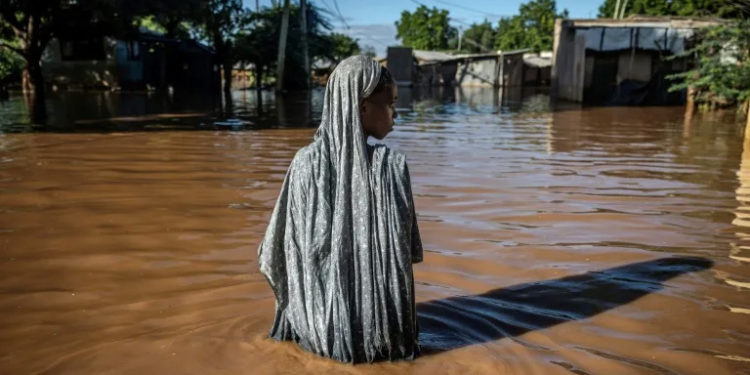 COP29 fight looms over climate funds for developing world