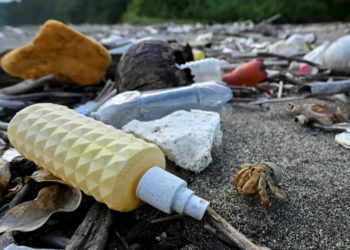 Shells to surfboards: how wildlife has adapted to plastic