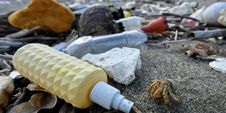 Shells to surfboards: how wildlife has adapted to plastic