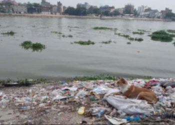 250 untreated sewage connections polluting Buriganga!