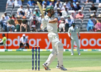 Australia's Mitchell Starc played a defiant innings against India in the first Test (SAEED KHAN) (SAEED KHAN/AFP/AFP)
