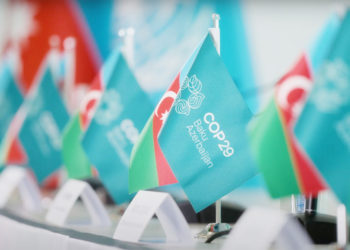 No Climate Deal Better Than ‘Bad’ One, Say NGOs At COP29