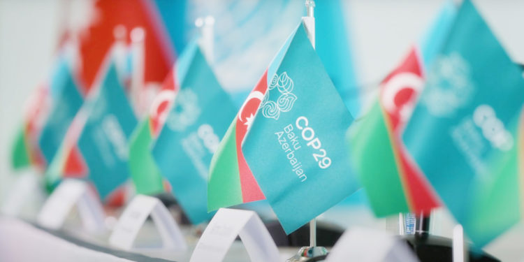 No Climate Deal Better Than ‘Bad’ One, Say NGOs At COP29