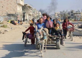 Donkeys offer Gazans lifeline amid war shortages