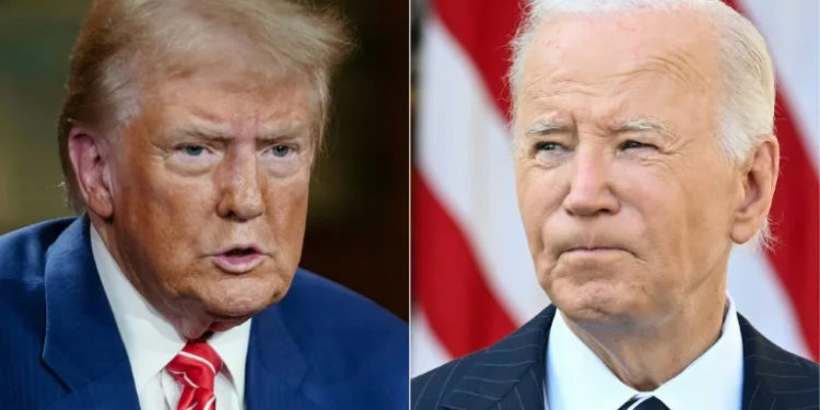 Joe Biden will hand the White House back to Donald Trump in January (Elijah Nouvelage) (Elijah Nouvelage/AFP/AFP)