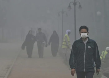 Pakistan's second biggest city Lahore recently recorded air pollution at a level 40 times level deemed acceptable by the WHO (Arif ALI) (Arif ALI/AFP/AFP)