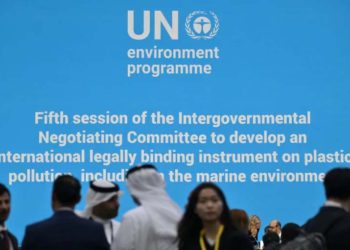 'There are some real differences' on how to address the problem, UN Environment Programme chief Inger Andersen told AFP (Anthony WALLACE) (Anthony WALLACE/AFP/AFP)