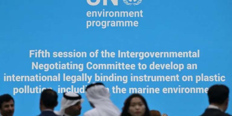 'There are some real differences' on how to address the problem, UN Environment Programme chief Inger Andersen told AFP (Anthony WALLACE) (Anthony WALLACE/AFP/AFP)