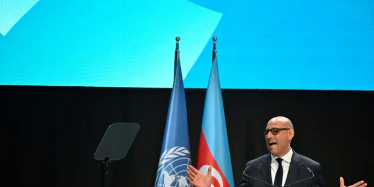 UN climate chief urges G20 to spur tense COP29 negotiations