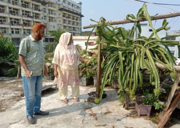 In addition to the job, the Zakaria-Mahinur couple has received a good response in vegetables and fruits