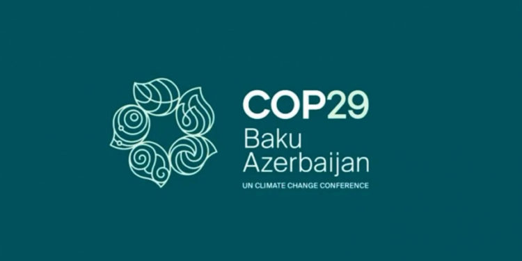 COP 29: Civil society for ambitious climate action