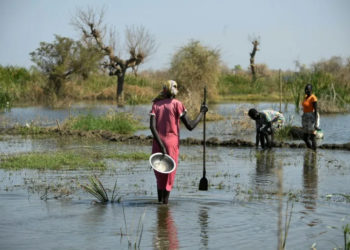 South Sudan is frequently hit by flooding (Simon MAINA) (Simon MAINA/AFP/AFP)
