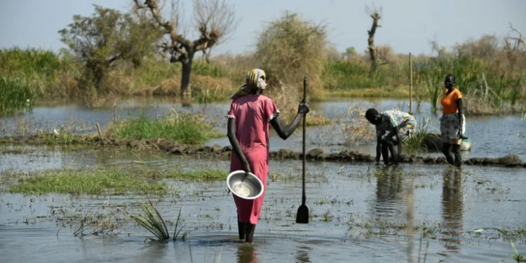 South Sudan is frequently hit by flooding (Simon MAINA) (Simon MAINA/AFP/AFP)
