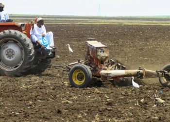 War decimates harvest in famine-threatened Sudan